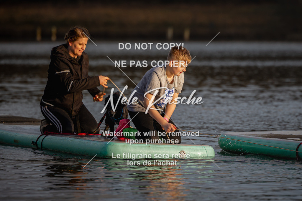 nelerasche_Hulsbeek_Sa1700-1730_378 | nelerasche
