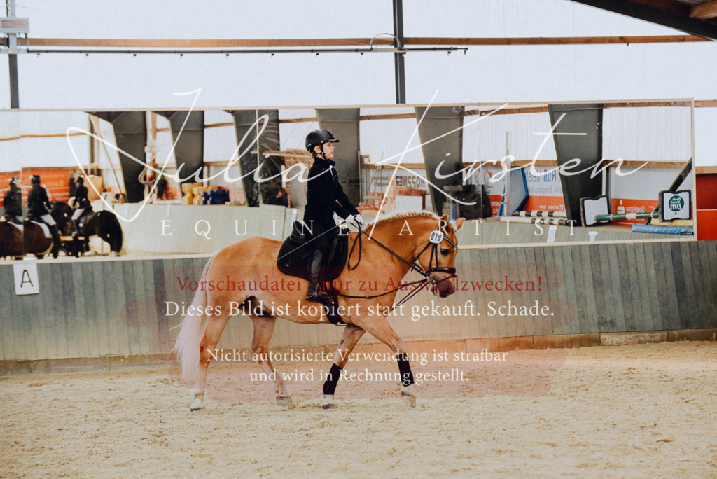 DSC_7357 | Pferde- und Turnierfotografie in Westsachsen. Pferdeportraits, Auftragszeichnungen und intuitive Kunst.