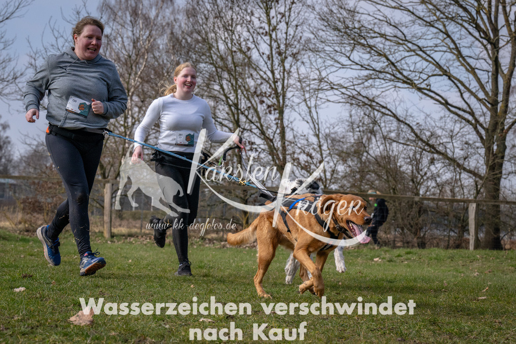 _ZZ90660 | kk-dogfotos