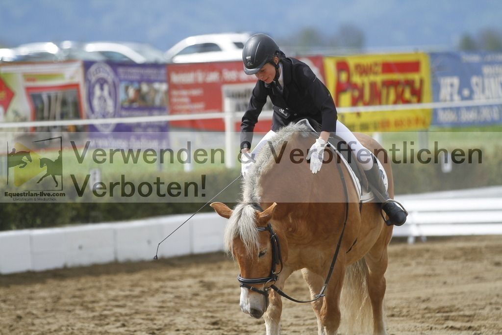 _MG_2774 | equestrian-live-com