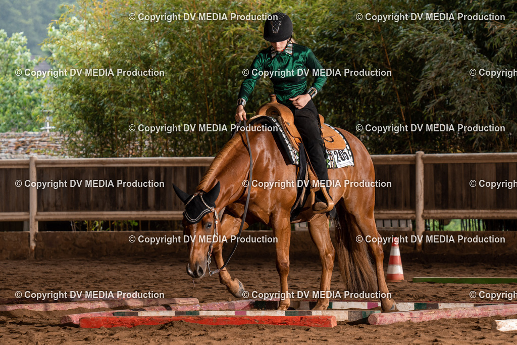 Erbach Tag 3-341 | dv-media-shop - Realisiert mit Pictrs.com