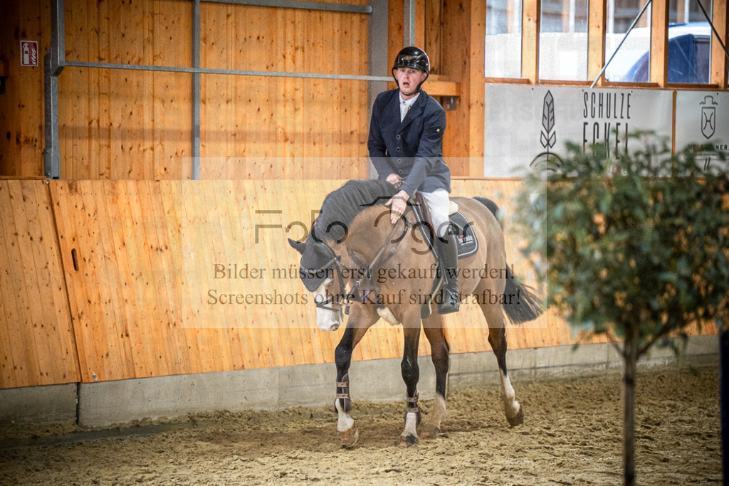 DOS_1741 | Entdecke hochwertige Reitturnierfotos von Foto Oger. Professionell, emotional und authentisch – jetzt Lieblingsmomente im Shop bestellen.Deutschlandweite Turnierfotografie. - Realisiert mit Pictrs.com