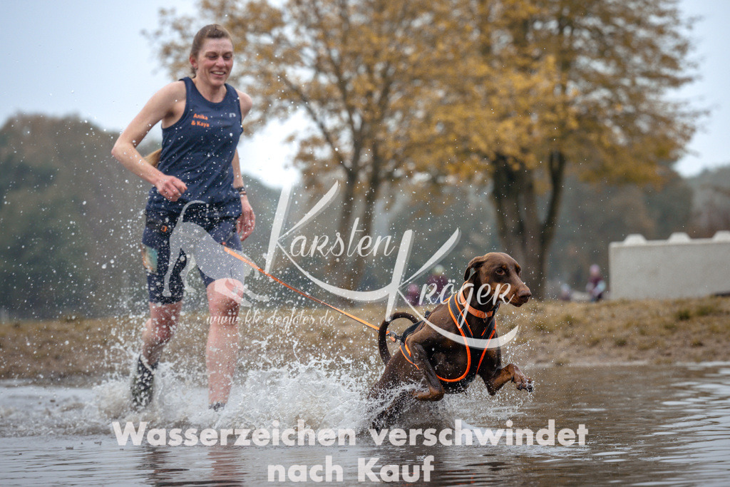 1027_ZZ99766 | kk-dogfotos