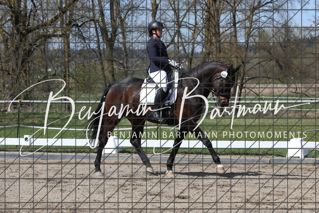 AZ2A5431 | Benjamin Bartmann Photomoments