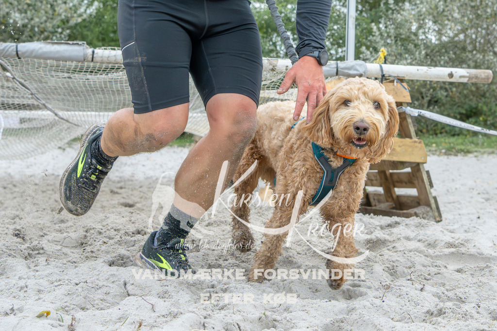 1113_ZZ95842 | kk-dogfotos