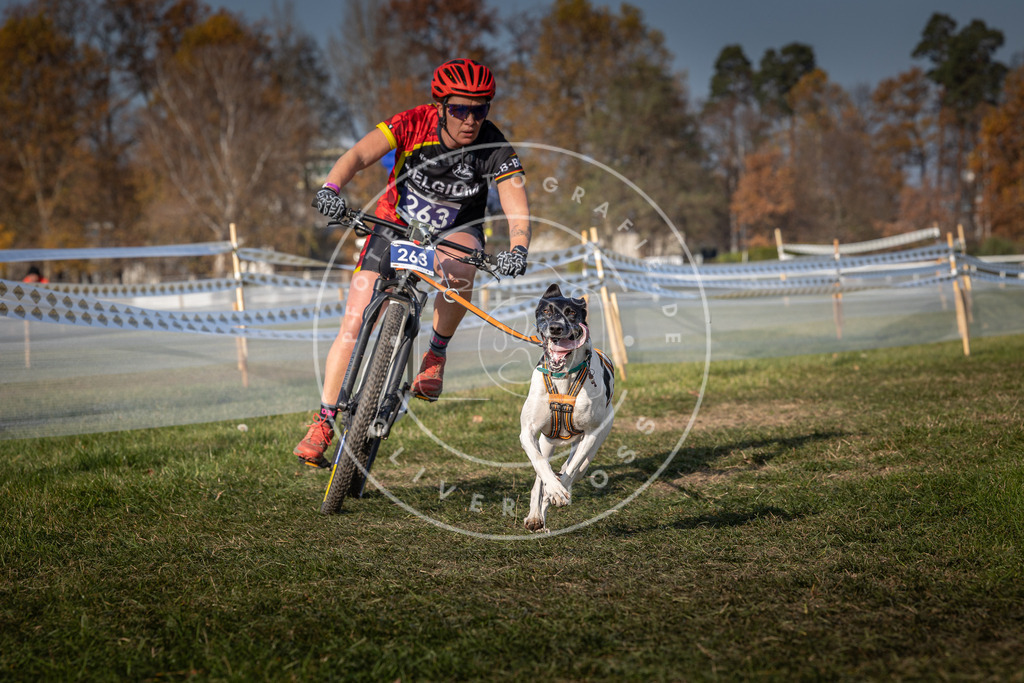 CaniXpix_0L8A7167 | Hundefotografie, Tierfotograf, Pfotenfotografie, Fotoshooting Hund, Hunde Portrait, Hundesport, Hundeportraits, Heideshooting, Hunde, Sportfotograf, Hundefotograf, Turnierhundsport, THS,  - Realisiert mit Pictrs.com