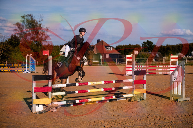 2026_10_03_Siefer-Hof_171006_Z81_06757814 | Professionelle Reitsport-, Turnier- und Eventfotografie von Robert Broda. Galerien mit ausgewählten und bearbeiteten Bildern direkt online ansehen und bestellen.