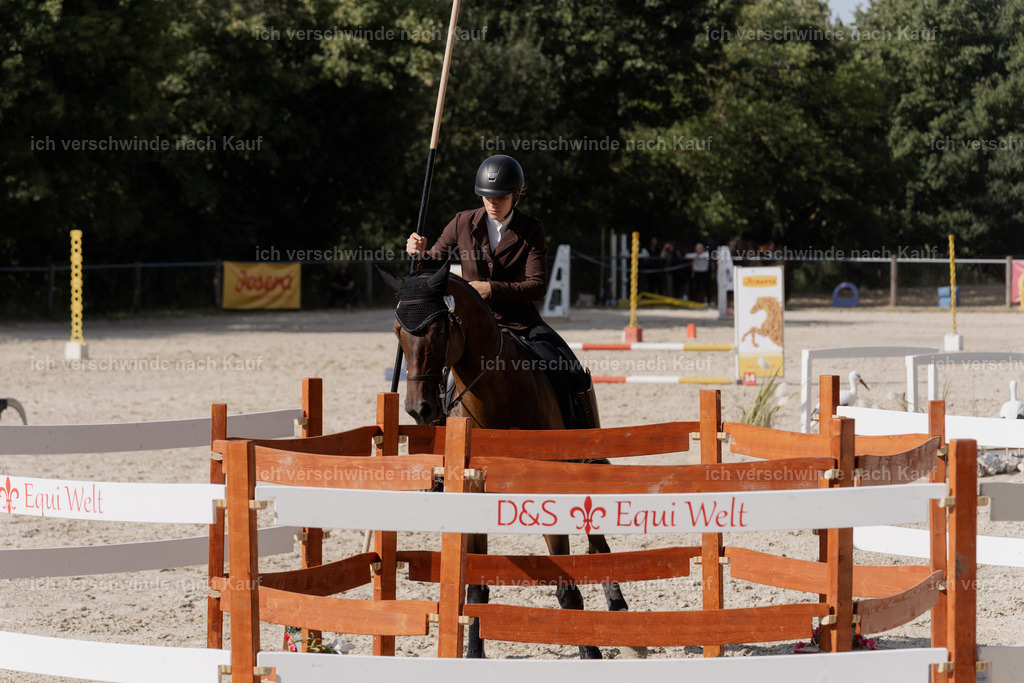 WS_SP_111_SinaFilmArt_IN09151 | working equitationturnier fotograf videograf stoibphotography marixx film working equitation deutschland reitsport turnierfotografie eventfotografie equestrian events