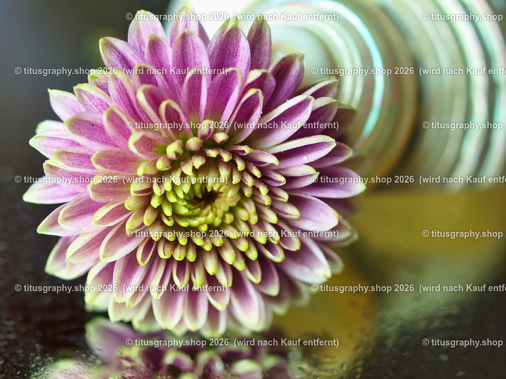 titusgraphy_P7159403-vz-ln | titusgraphy-shop: Geschenkideen mit Qualitätsfotos. titusgraphy-shop: gift ideas with quality photos. titusgraphy-shop: idées cadeaux avec photos de qualité.  - Realisiert mit Pictrs.com