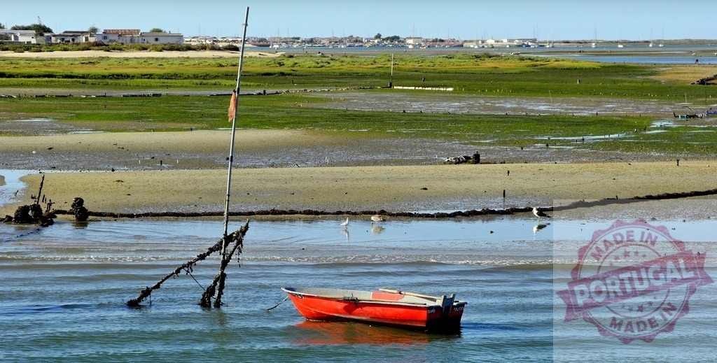 Red boat floating in peaceful saltwater lagoon landscape | Red rowboat resting on still water with wetlands, birds, and coastal village in background - Realized with Pictrs.com