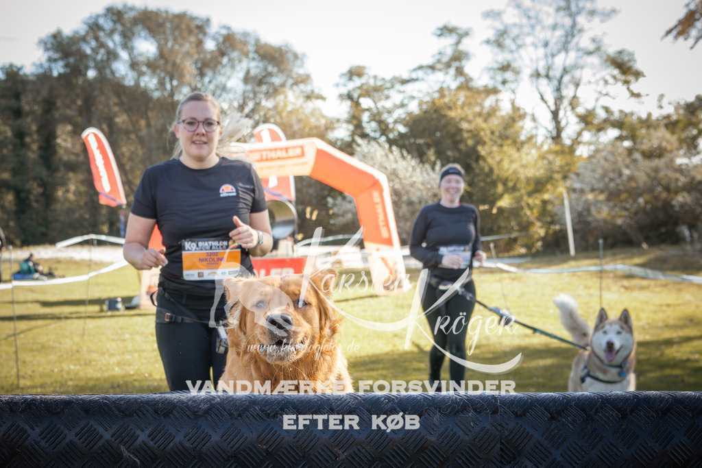 1229_ZZ96581-2 | kk-dogfotos