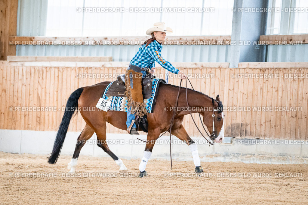 DSC08176 | Pferdegrafie