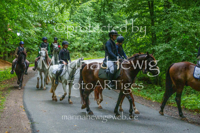 Jagd Kletkamp 26-02783_MarinaHewig | Fotografie, FotoArt, PferdesportArt, Pferdesportfotografie, Landschaftsfotografie, Reisefotografie, Reise, Pferde - Realisiert mit Pictrs.com