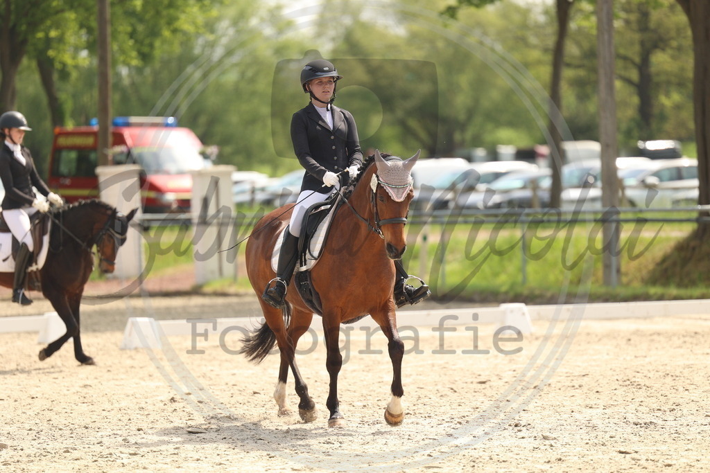 994A6791 | sabrinanicolaifotografie - Realisiert mit Pictrs.com