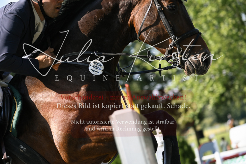 DSC_1419 | Pferde- und Turnierfotografie in Westsachsen. Pferdeportraits, Auftragszeichnungen und intuitive Kunst.