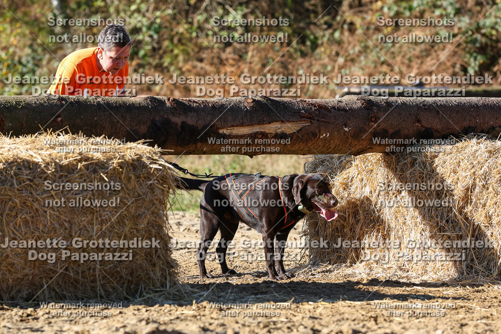 Dog Paparazzi - Strongdog 10-25-2580 | Dog Paparazzi Jeanette Grottendiek Fotografie & Videografie - Realisiert mit Pictrs.com