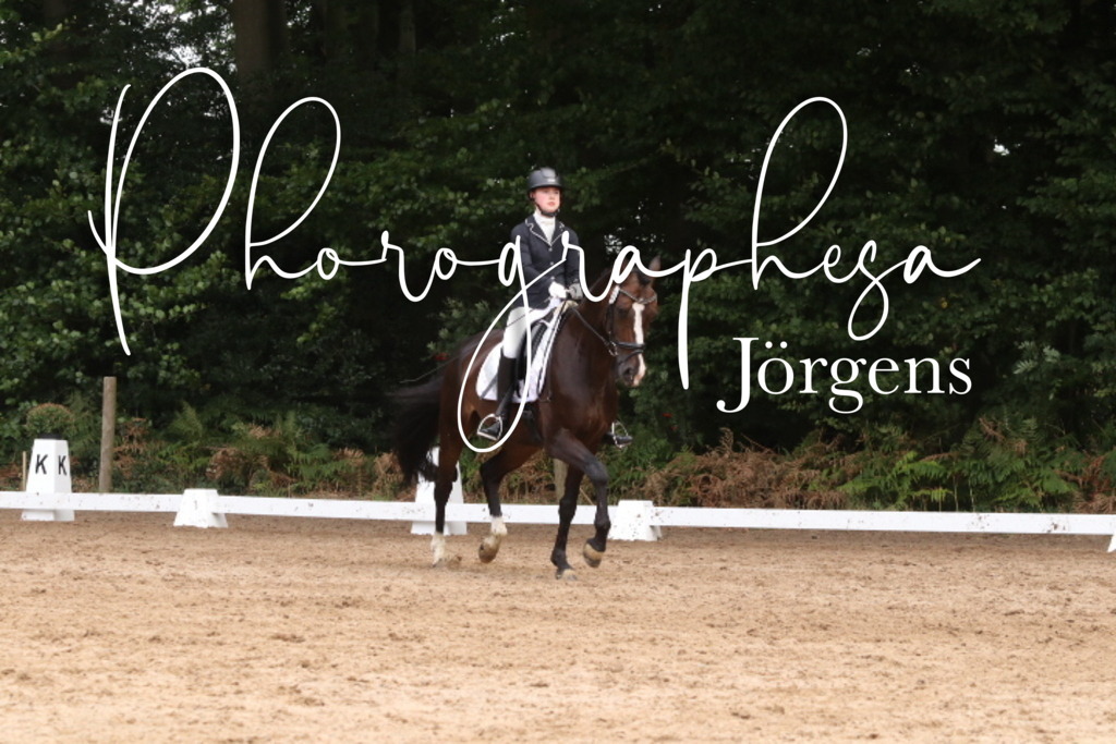 IMG_0173 | photographesa-joergens - Realisiert mit Pictrs.com