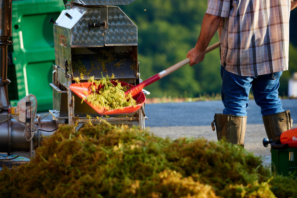 Arbeiter mit Schaufel entsorgt den Trester | Großklein, Austria - September 23, 2017: Arbeiter mit Gummistiefel und roter Schaufel entsorgt den Trester. - Realisiert mit Pictrs.com