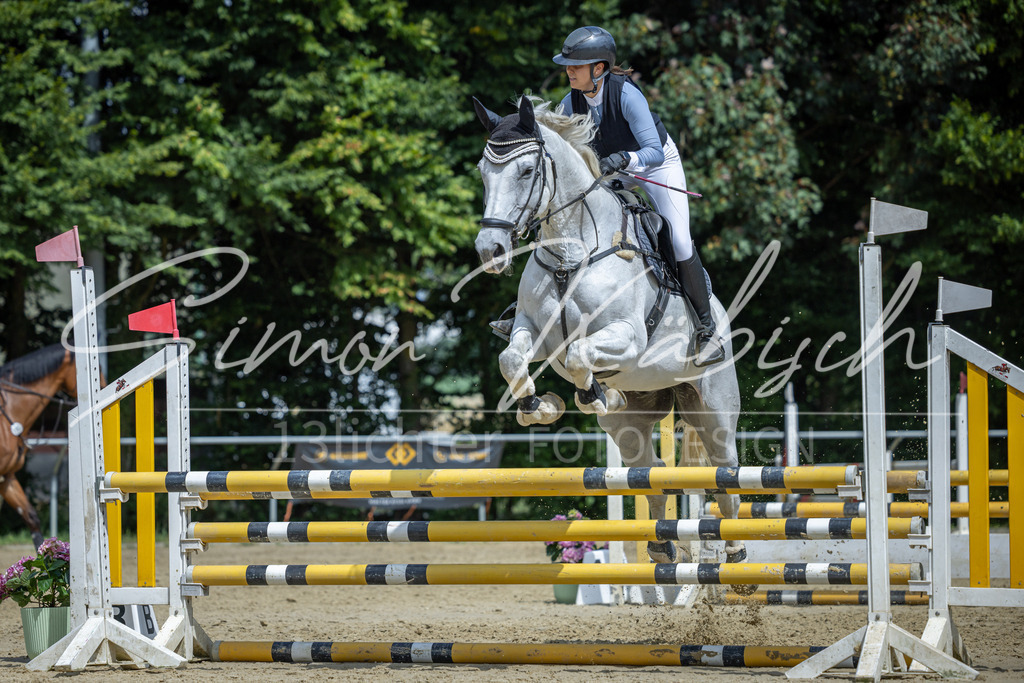 20260704-_3LI0482 | Tierfotografie Pferde, Hunde, Katzen, Haustiere.
Turnierfotografie Reitturniere, Reiten, Springreiten, Dressur in Hanau, dem Main-Kinzig-Kreis und dem Rhein-Main- Gebiet um Frankfurt
