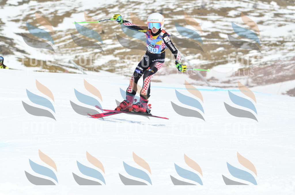 _ELE2317 | holidayphoto