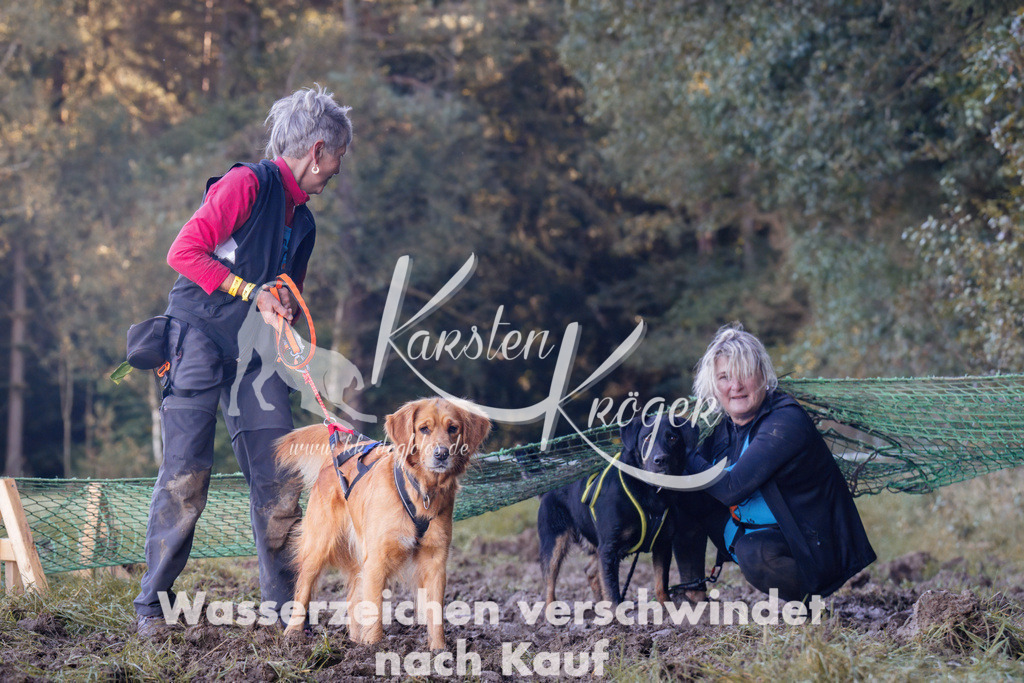 1049_ZZ92811 | kk-dogfotos
