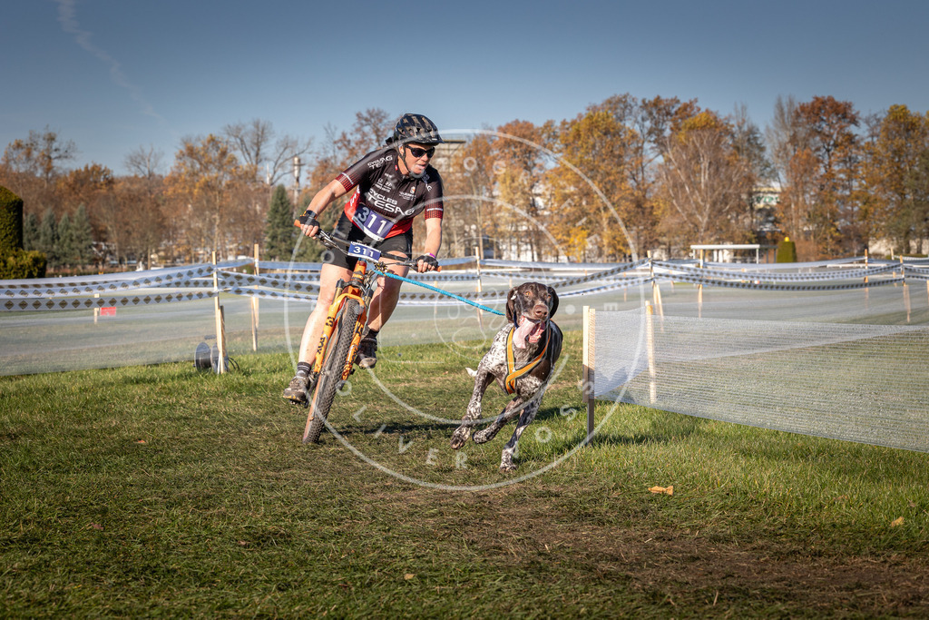 CaniXpix_0L8A5594 | Hundefotografie, Tierfotograf, Pfotenfotografie, Fotoshooting Hund, Hunde Portrait, Hundesport, Hundeportraits, Heideshooting, Hunde, Sportfotograf, Hundefotograf, Turnierhundsport, THS,  - Realisiert mit Pictrs.com