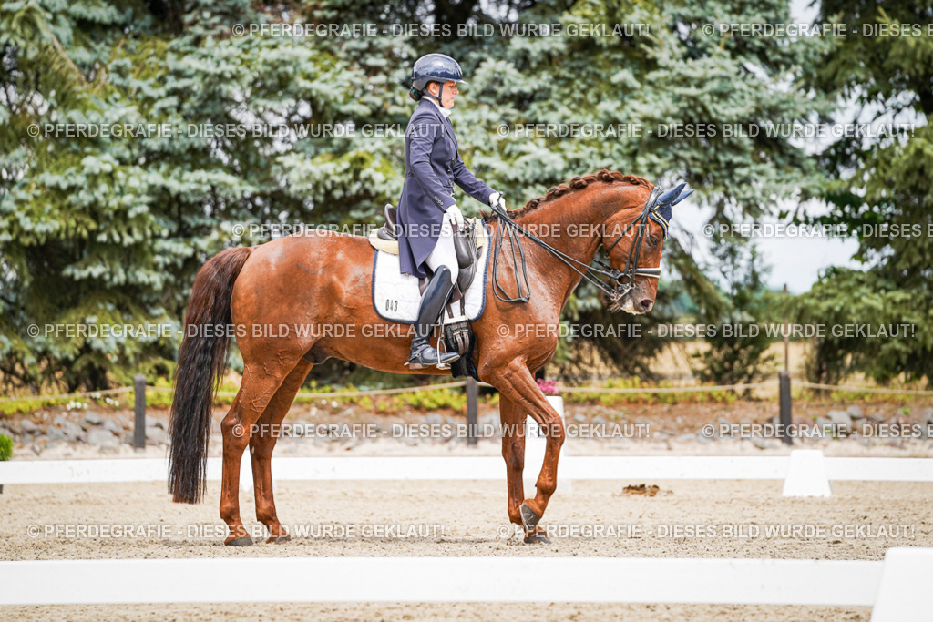 DSC05976 | Pferdegrafie