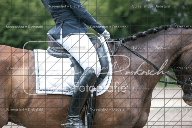 _W6A6888 | ronjaprokoschfotografie - Realisiert mit Pictrs.com