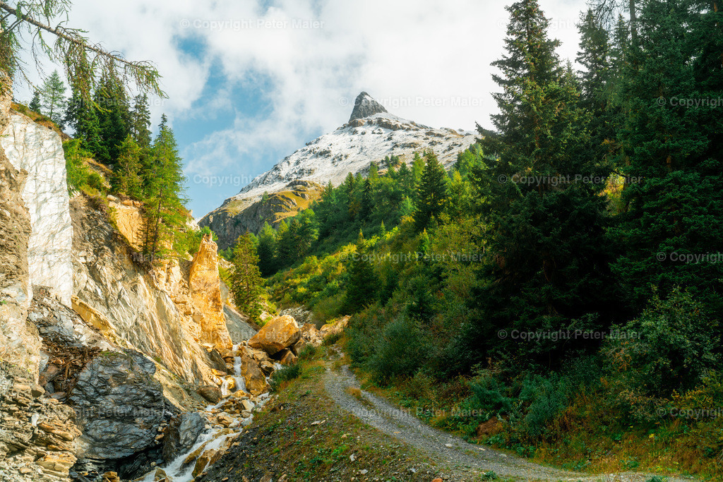 Divers_Erlebnisraum_Wald_23_Peter_Maier-767 | piet_flosse
