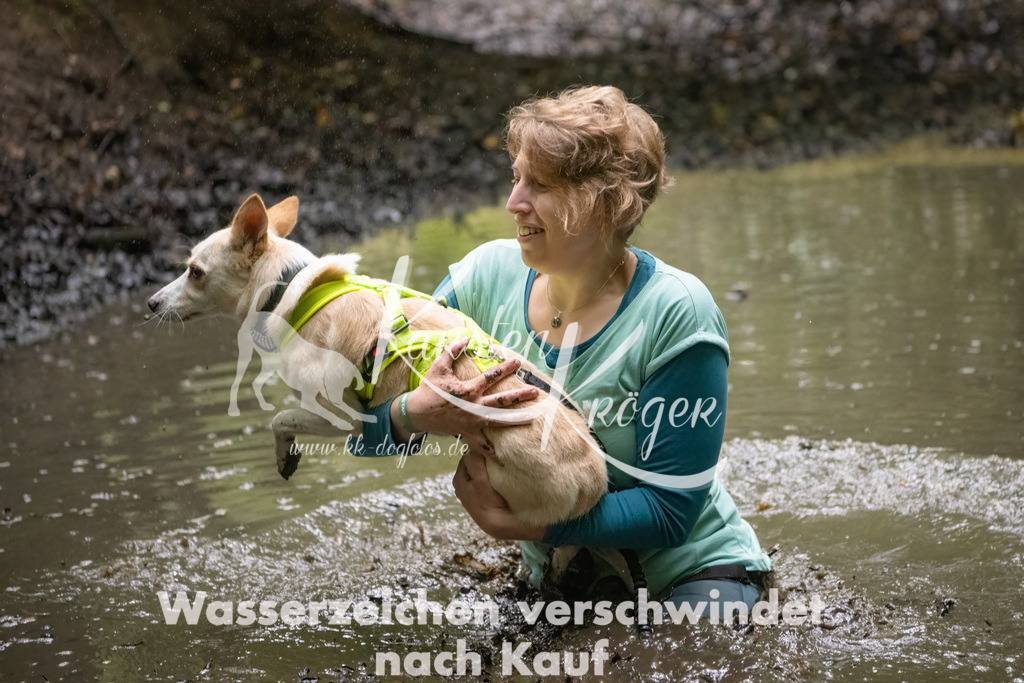 0949_ZZ91238-Bearbeitet | kk-dogfotos