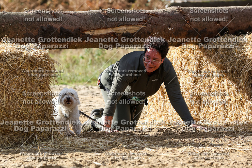 Dog Paparazzi - Strongdog 10-25-5554 | Dog Paparazzi Jeanette Grottendiek Fotografie & Videografie - Realisiert mit Pictrs.com