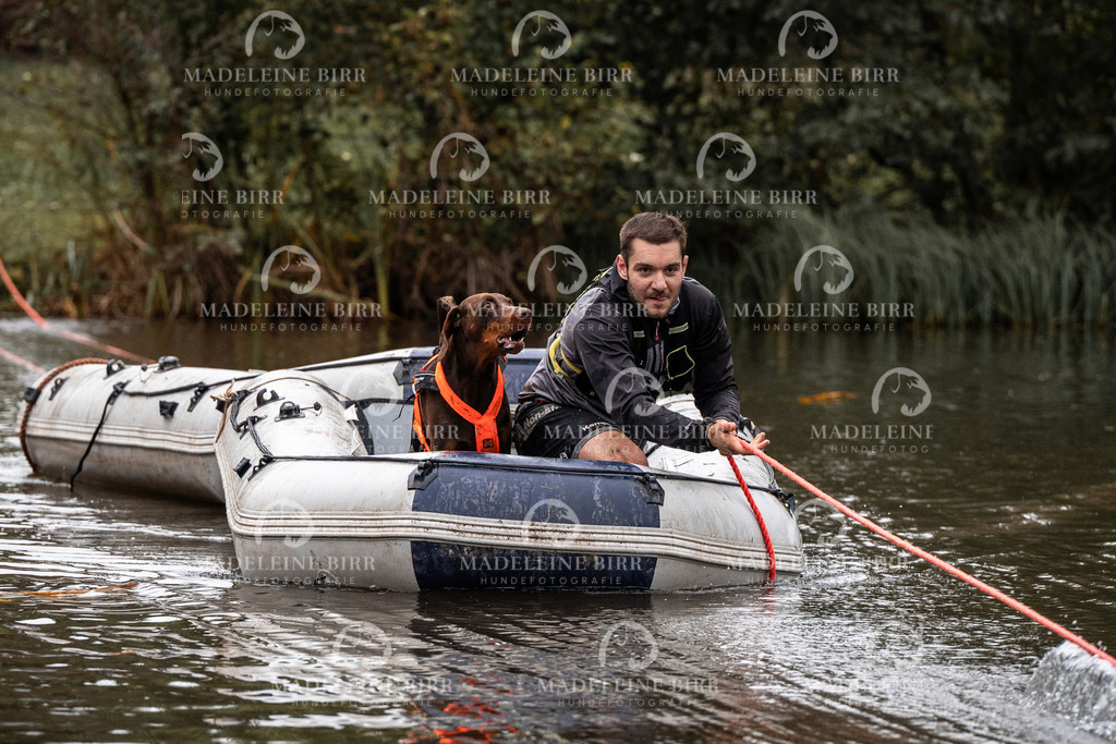 madeleinebirr-fotografie2025.campcanis.Startbis9Uhr-92 | hundefotografie-birr