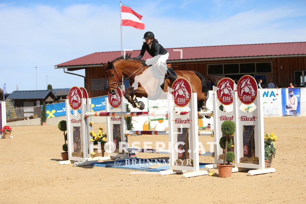DL2Q5497 | Willkommen bei Brunnmayr - Design & Fotografie – Ihrem Spezialisten für Reitturniere und Pferdeveranstaltungen in Oberösterreich, Salzburg und Bayern! Seit über 17 Jahren sind wir leidenschaftlich dabei.