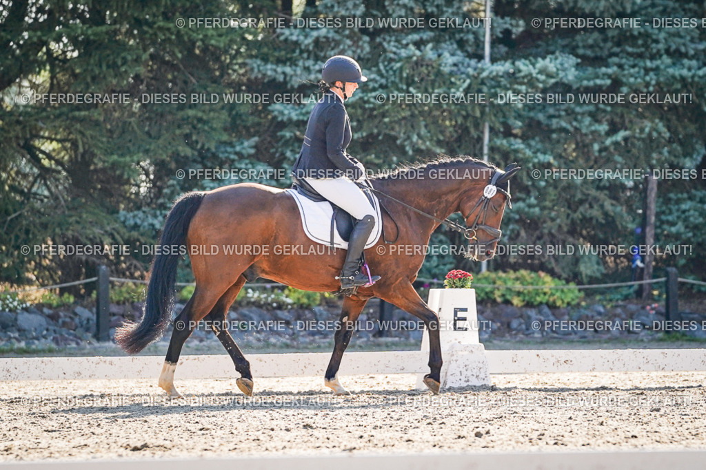 DSC09114 | Pferdegrafie