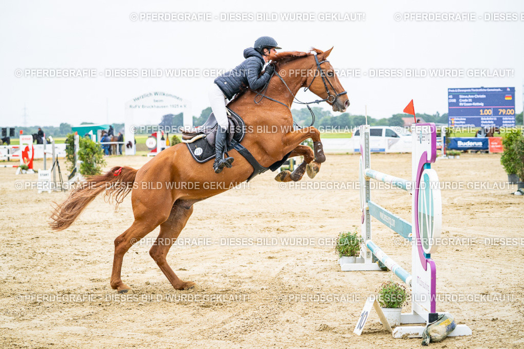 DSC08093 | Pferdegrafie