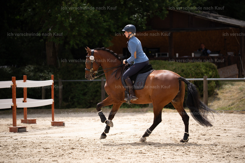 WL_ST_106_stoibphotography__SO11158 | working equitationturnier fotograf videograf stoibphotography marixx film working equitation deutschland reitsport turnierfotografie eventfotografie equestrian events