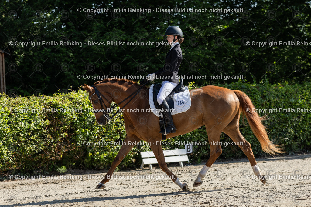 CL5A6894 | Emilia Reinking Fotografie - Realisiert mit Pictrs.com