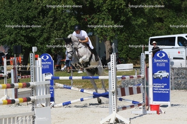 Zeit L (45) | Fotografie, Tiere, Hunde, Katzen, Pferde, Sportfotografie, Fotosession, Tierfotografie, Turnierfotografie, Fotografin, Fotograf - Realisiert mit Pictrs.com