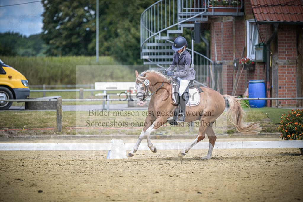 DOS_3189 | Entdecke hochwertige Reitturnierfotos von Foto Oger. Professionell, emotional und authentisch – jetzt Lieblingsmomente im Shop bestellen.Deutschlandweite Turnierfotografie. - Realisiert mit Pictrs.com