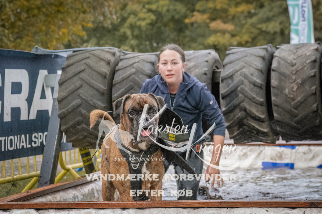 1627_ZZ93389 | kk-dogfotos