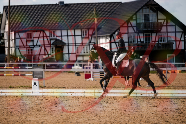 2026_10_03_Siefer-Hof_132356_Z63_86120868 | Professionelle Reitsport-, Turnier- und Eventfotografie von Robert Broda. Galerien mit ausgewählten und bearbeiteten Bildern direkt online ansehen und bestellen.