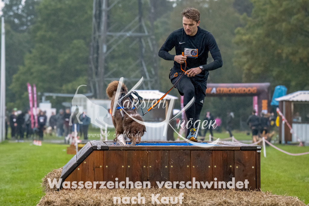 1015--8 | kk-dogfotos