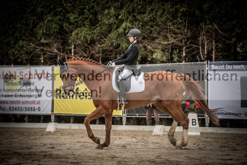 DSC_0163 | equestrian-live-com