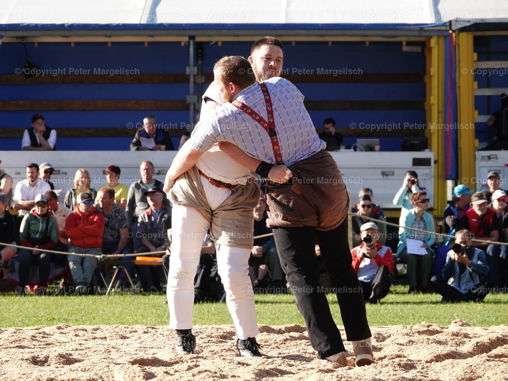DSC07349 | Schwingen - Realisiert mit Pictrs.com