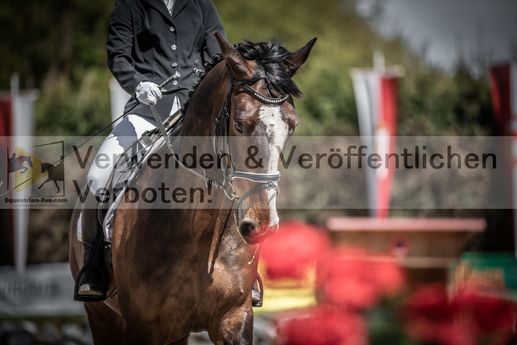 DSC_0297 | equestrian-live-com