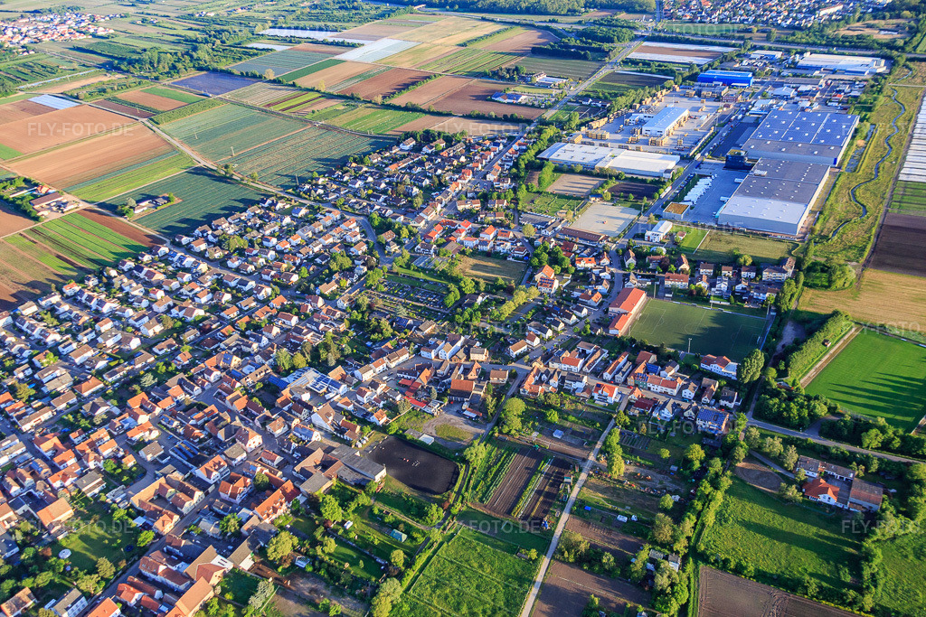Luftbild: Ortsansicht aus Süden mit Industriegebiet Industriestraße und FRIGO-TRANS GmbH in Fußgönheim im Bundesland Rheinland-Pfalz in Deutschland. Foto: IMG_088622.jpg vom 20.05.2016 durch Werner Riehm/FLY-FOTO.deFRIGO-TRANS