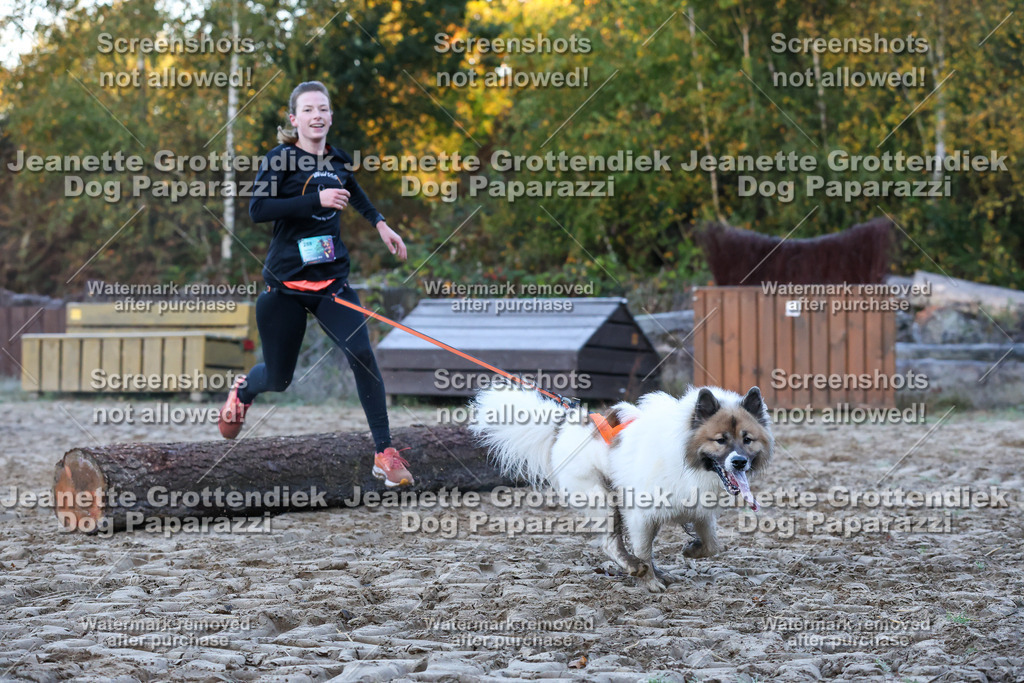 Dog Paparazzi - Strongdog 10-25-207 | Dog Paparazzi Jeanette Grottendiek Fotografie & Videografie - Realisiert mit Pictrs.com