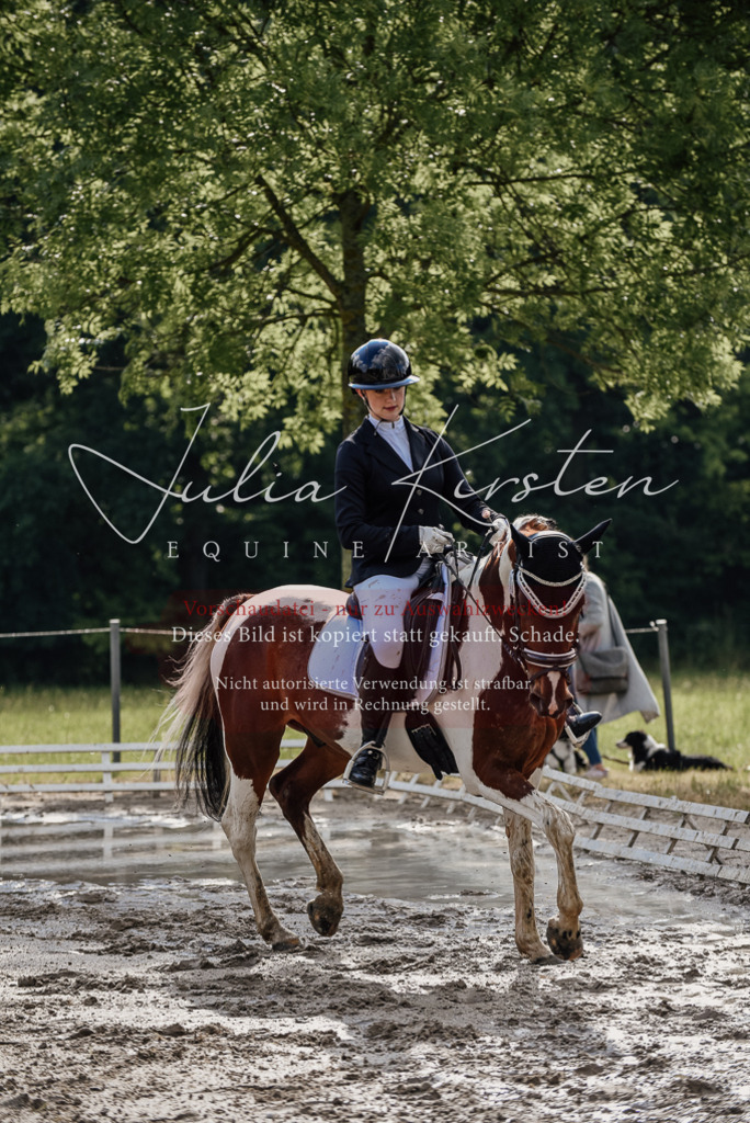 DSC_8726 | Pferde- und Turnierfotografie in Westsachsen. Pferdeportraits, Auftragszeichnungen und intuitive Kunst.