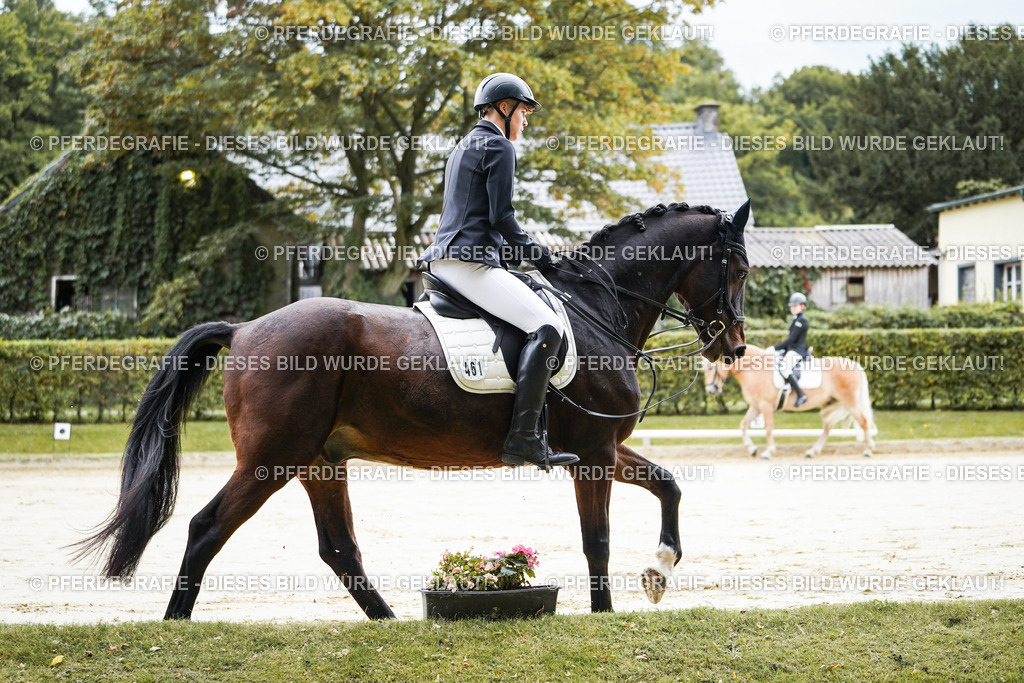 DSC04814 | Pferdegrafie