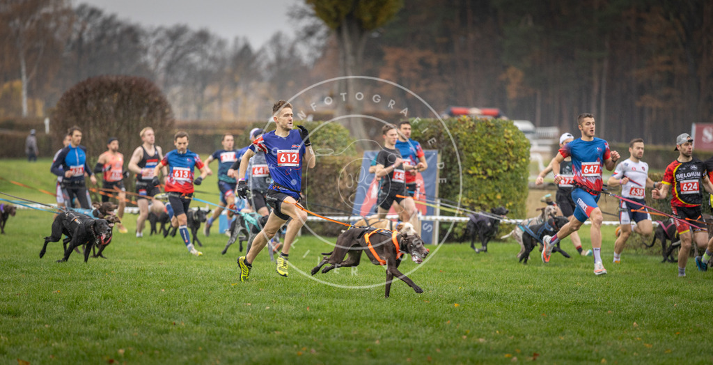 CaniXpix_DV3A9454 | Hundefotografie, Tierfotograf, Pfotenfotografie, Fotoshooting Hund, Hunde Portrait, Hundesport, Hundeportraits, Heideshooting, Hunde, Sportfotograf, Hundefotograf, Turnierhundsport, THS,  - Realisiert mit Pictrs.com